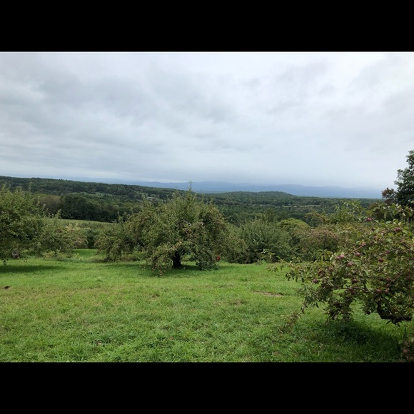 Meet your Posher, Andrea - Picture 1 of 1